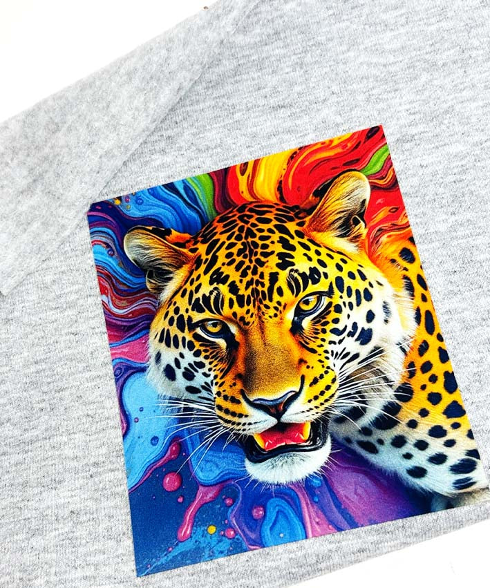 Bgelbild splash leo 2