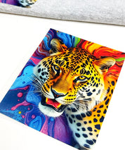 Bgelbild splash leo 3