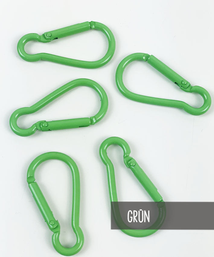 Bunte-Karabiner-Grun-leni-pepunkt