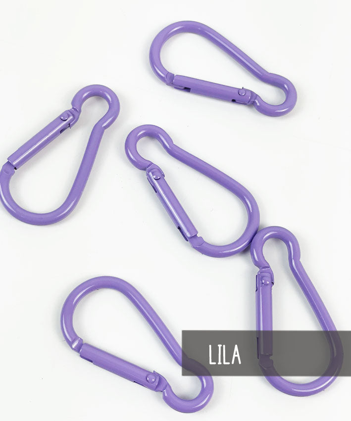 Bunte-Karabiner-Lila-leni-pepunkt