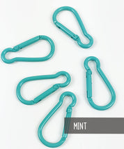 Bunte-Karabiner-Mint-leni-pepunkt