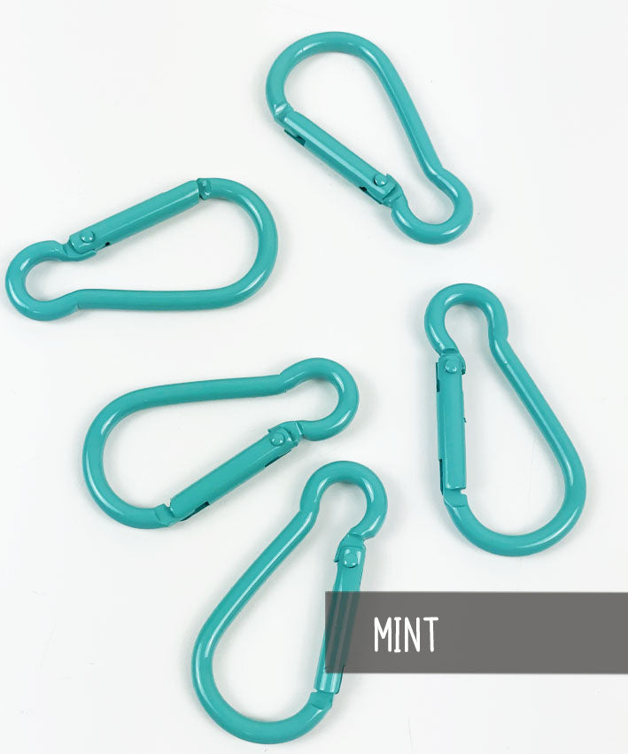 Bunte-Karabiner-Mint-leni-pepunkt
