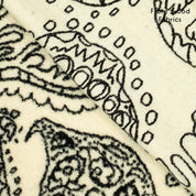 FM41610120_3