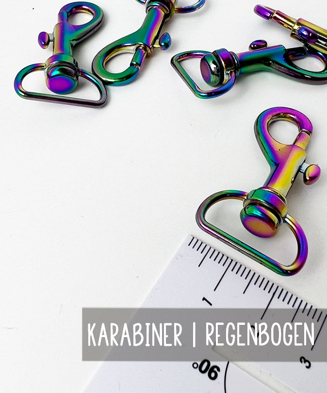karabiner-regenbogen-2-cm-lenipepunkt-teaser