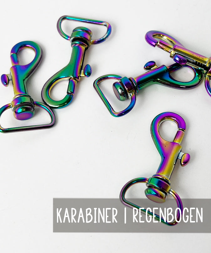 karabiner-regenbogen-2-cm-lenipepunkt-teaser1