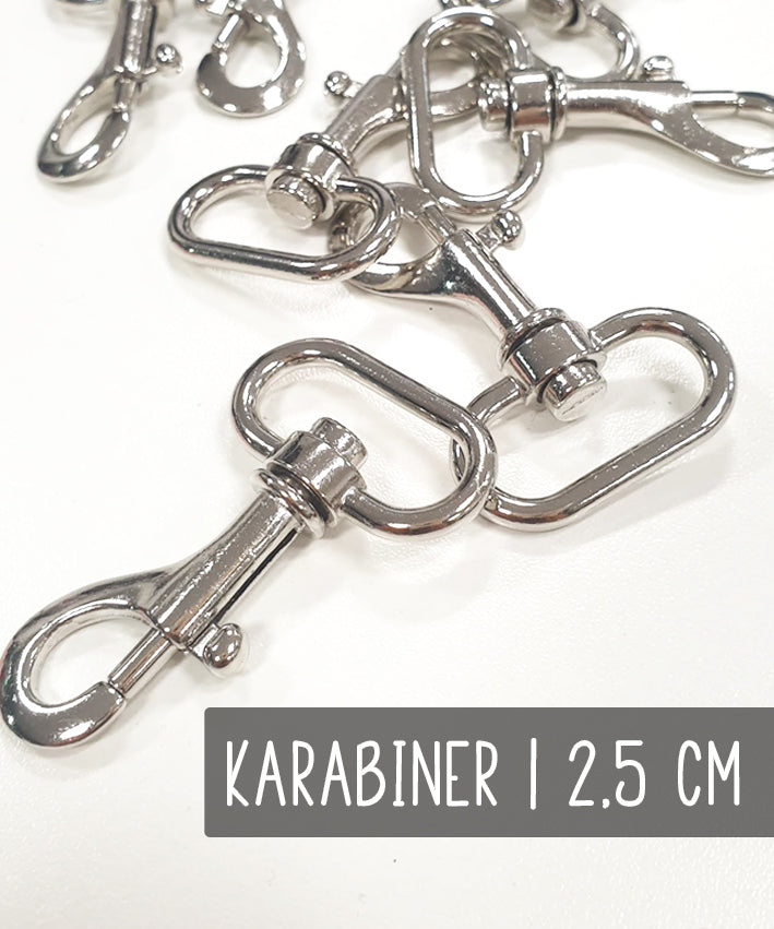 karabiner-silber-25-mm-teaser-1-shop-leni-pepunkt