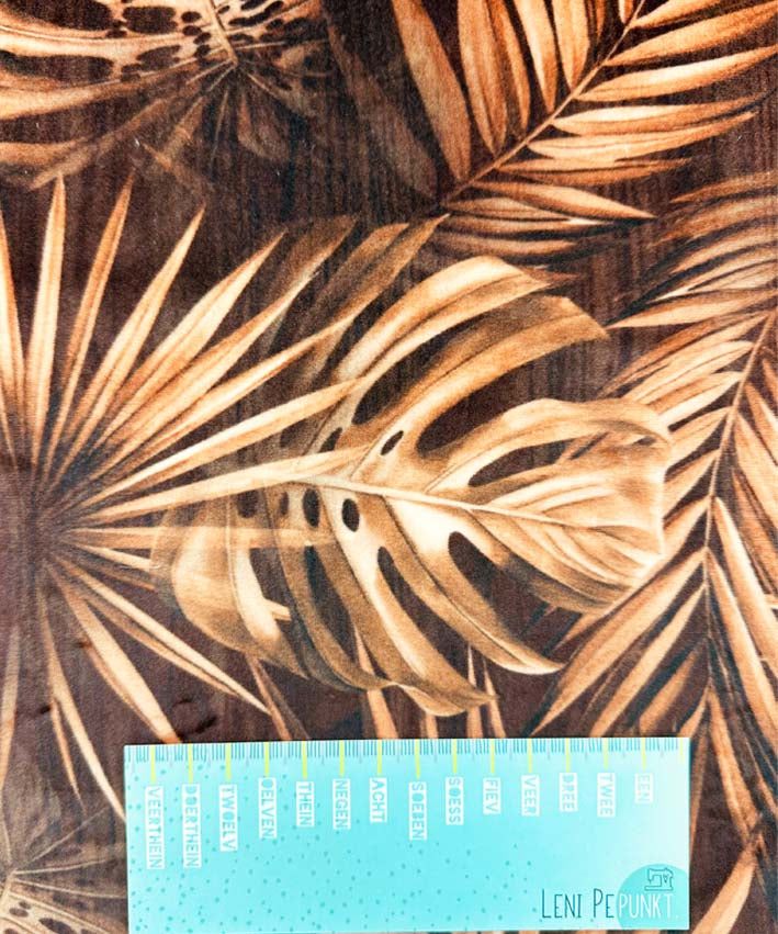 velvet-monstera-4